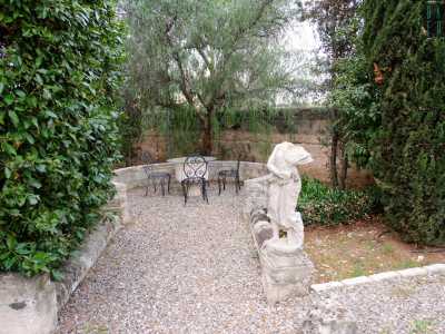 ..., con cycas, bassi arbusti e silenziosi salottini